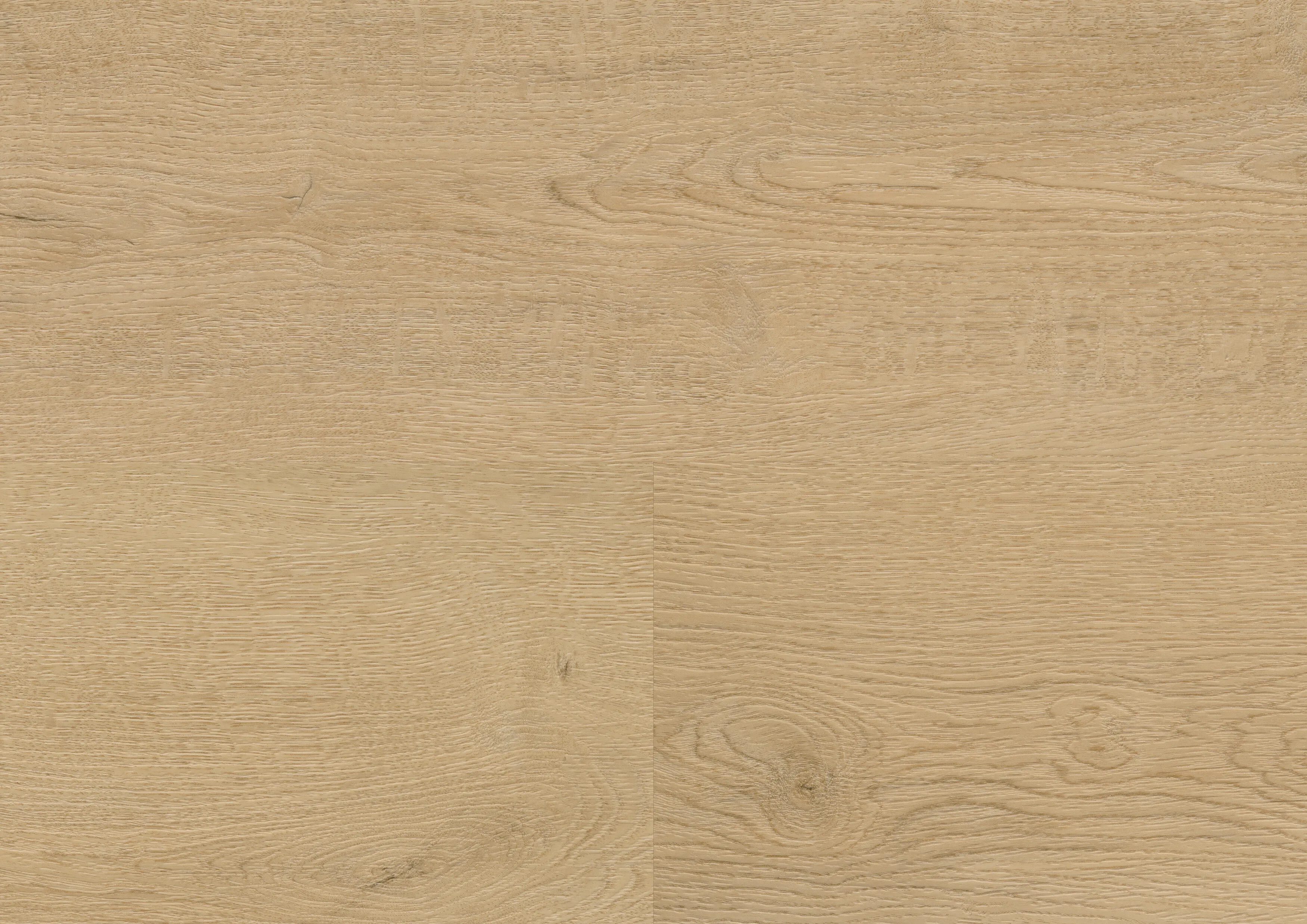 Plain Oak Beige  | wineo 400 DB wood L (G2)