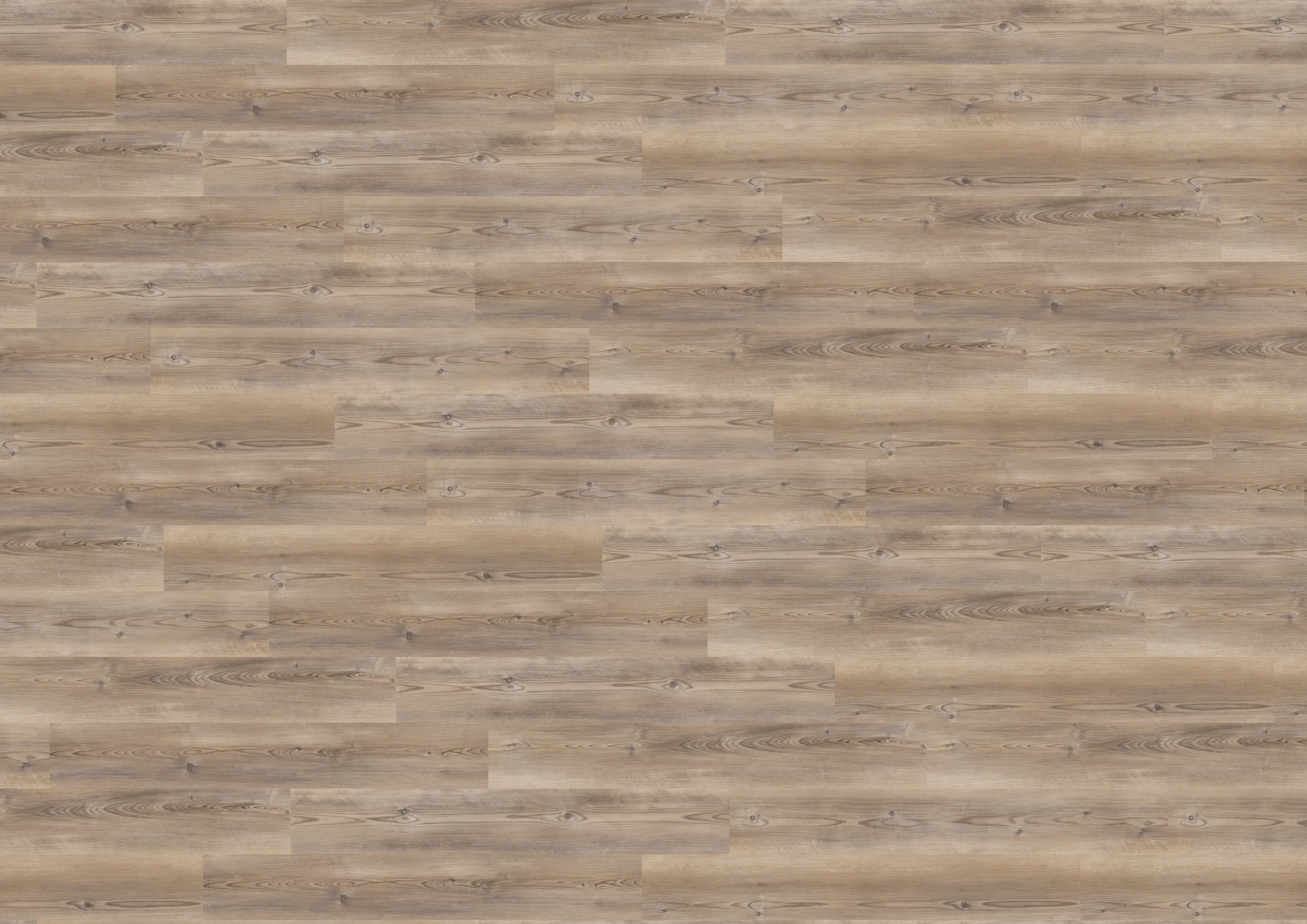 Coast Pine Taupe