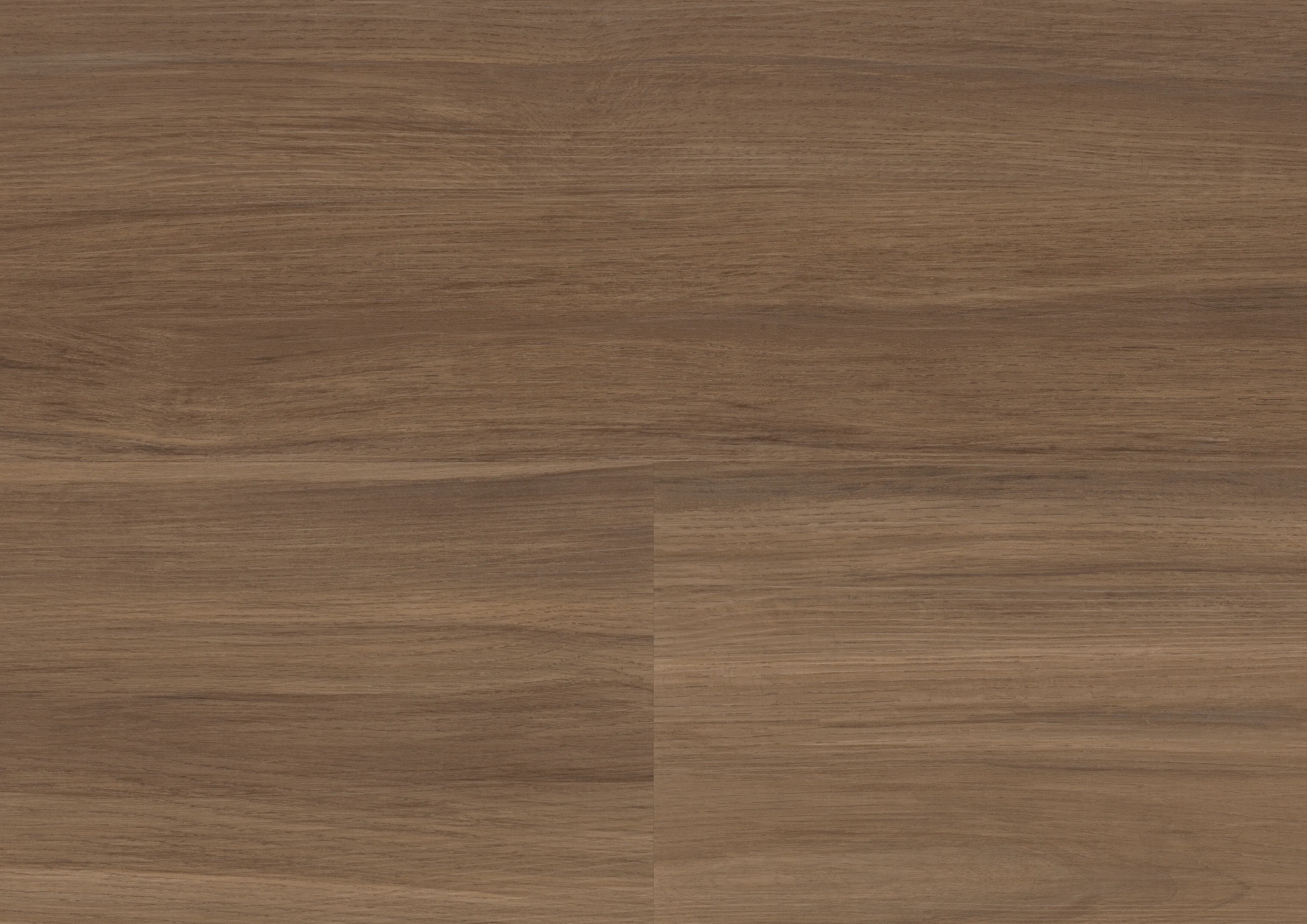 Cool Walnut Dark | wineo 400 DB wood XL (G2)