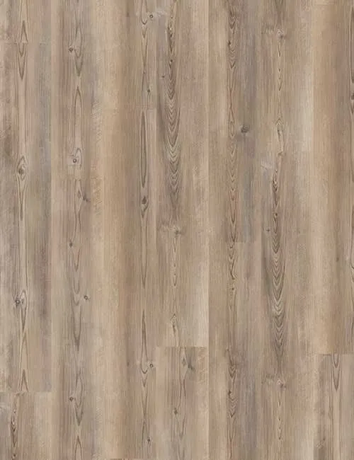 Vinylboden wineo 400 Coast Pine Taupe DB284WL in moderner Pinien-Holzoptik