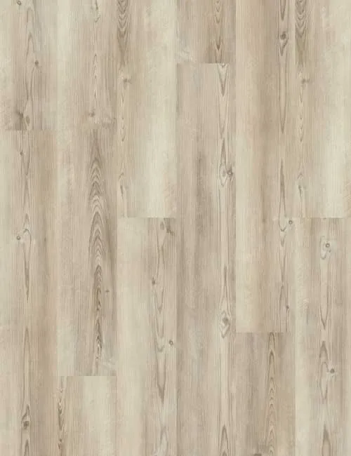 VInylboden wineo 400 Coast Pine Greige DB280WL in attraktiver Pinien-Holzoptik