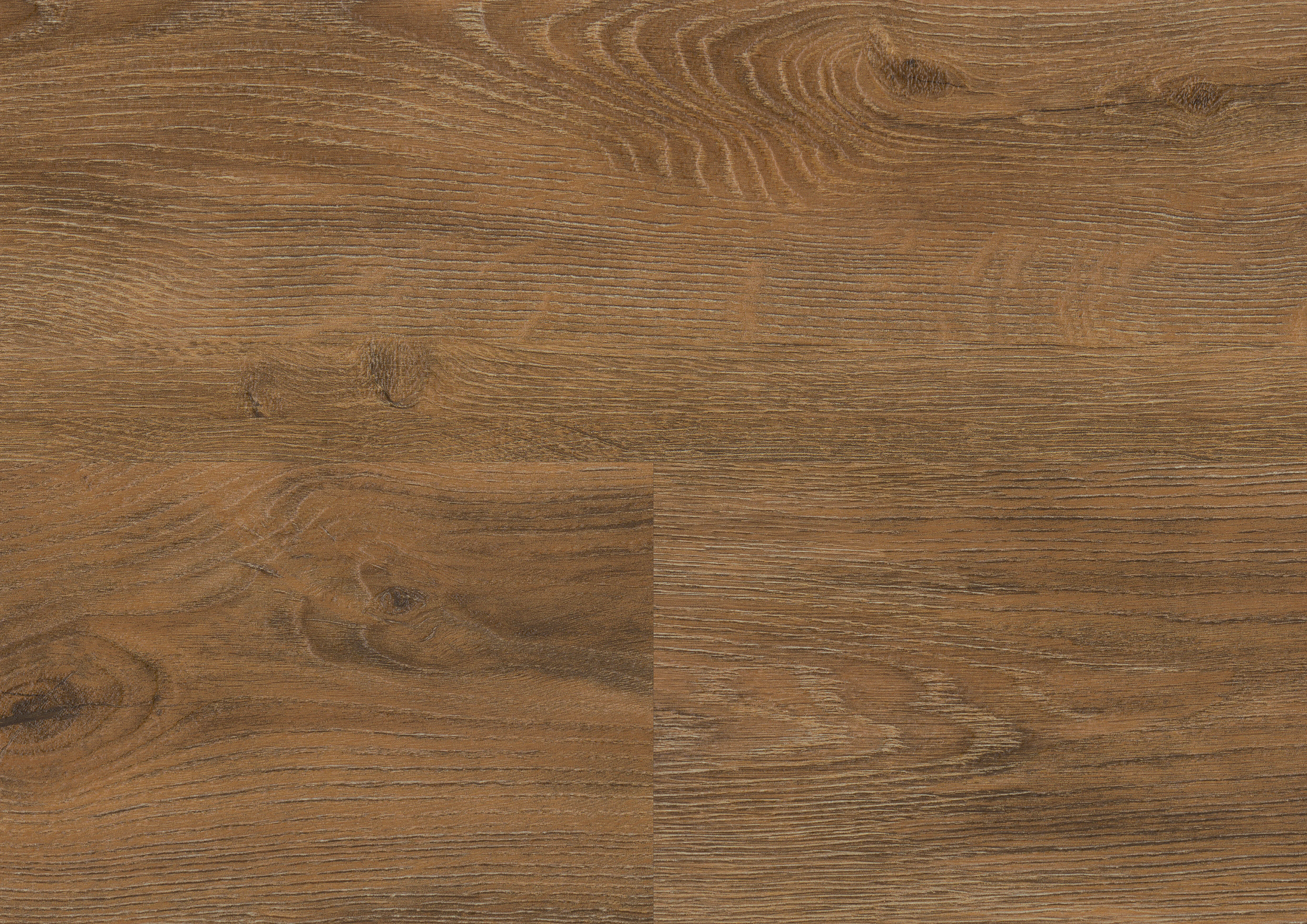 Cyprus Dark Oak | wineo 800 DB wood XL