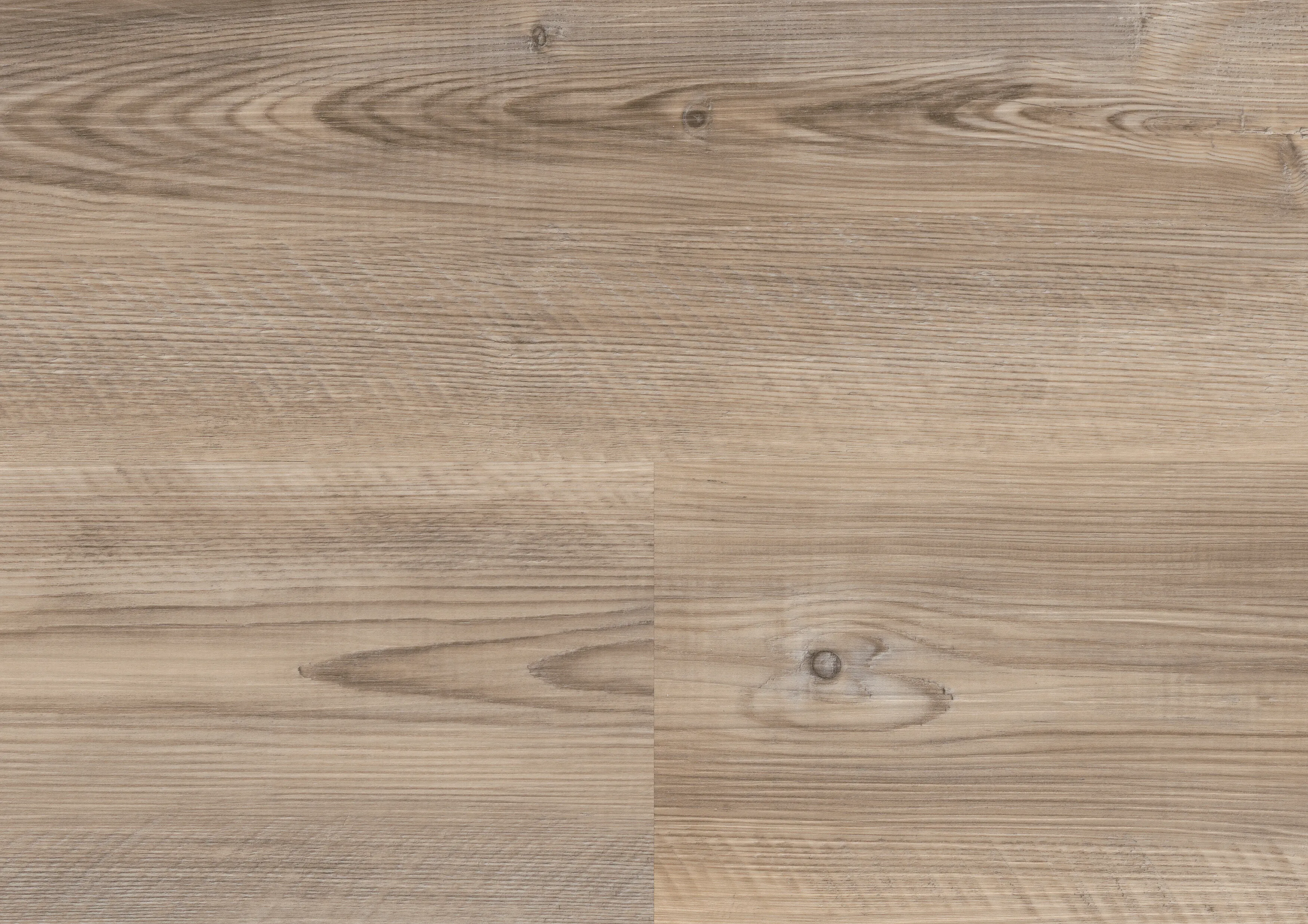 Coast Pine Taupe | wineo 400 DB wood L (G2)