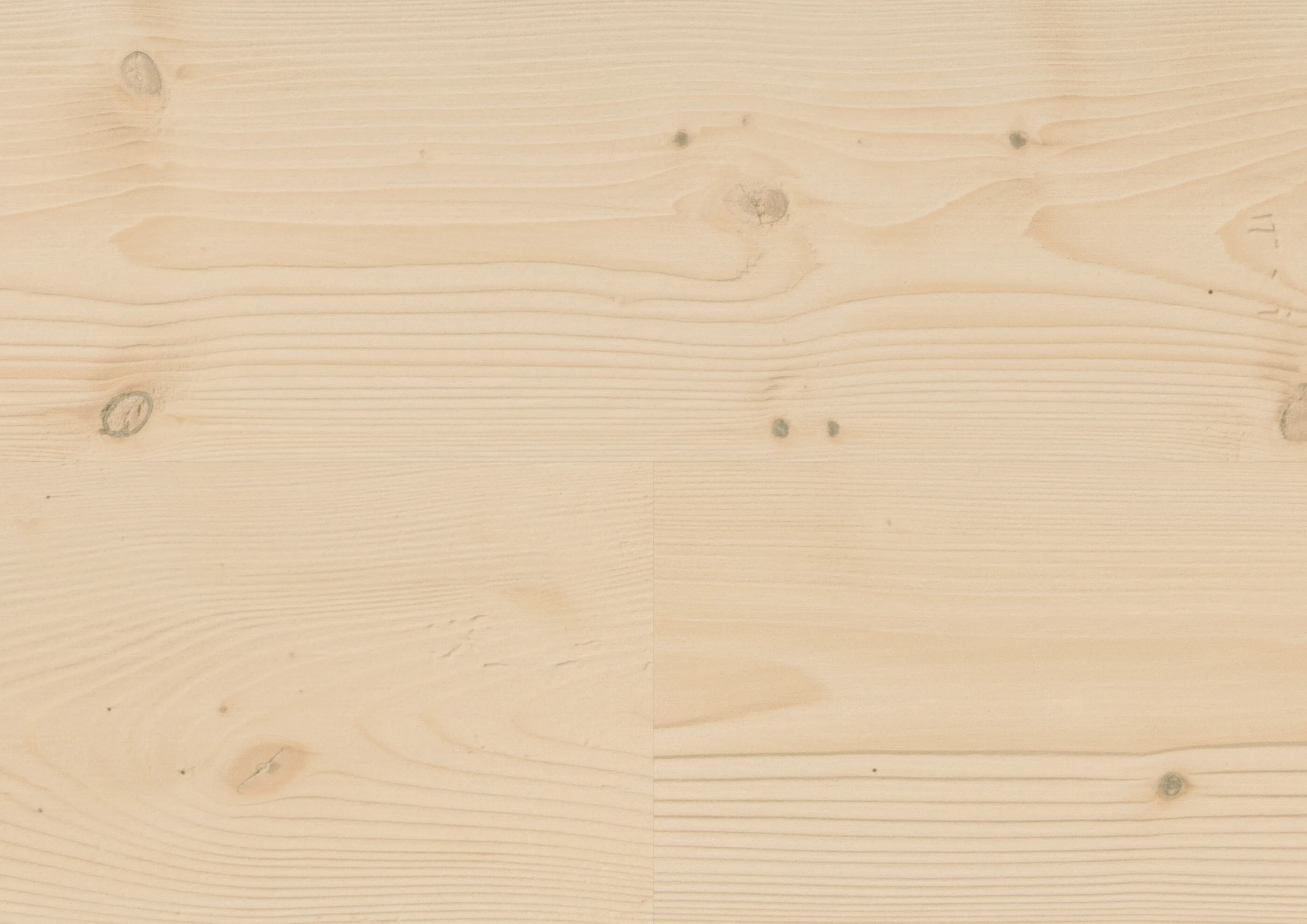 Natural Pine Beach | PL wineo 1000 wood L