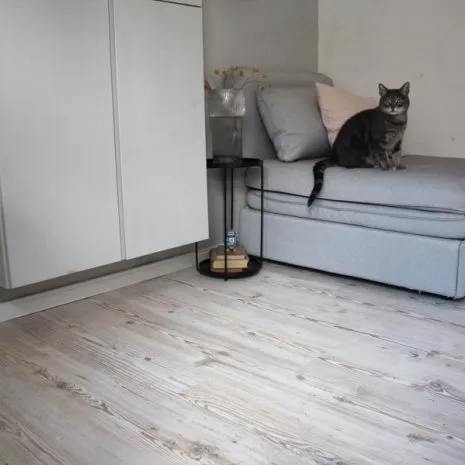 wineo PURLINE Bioboden zum Kleben im Altbau Sofa Schrank Katze Hamburger Fußleiste Sockelleiste