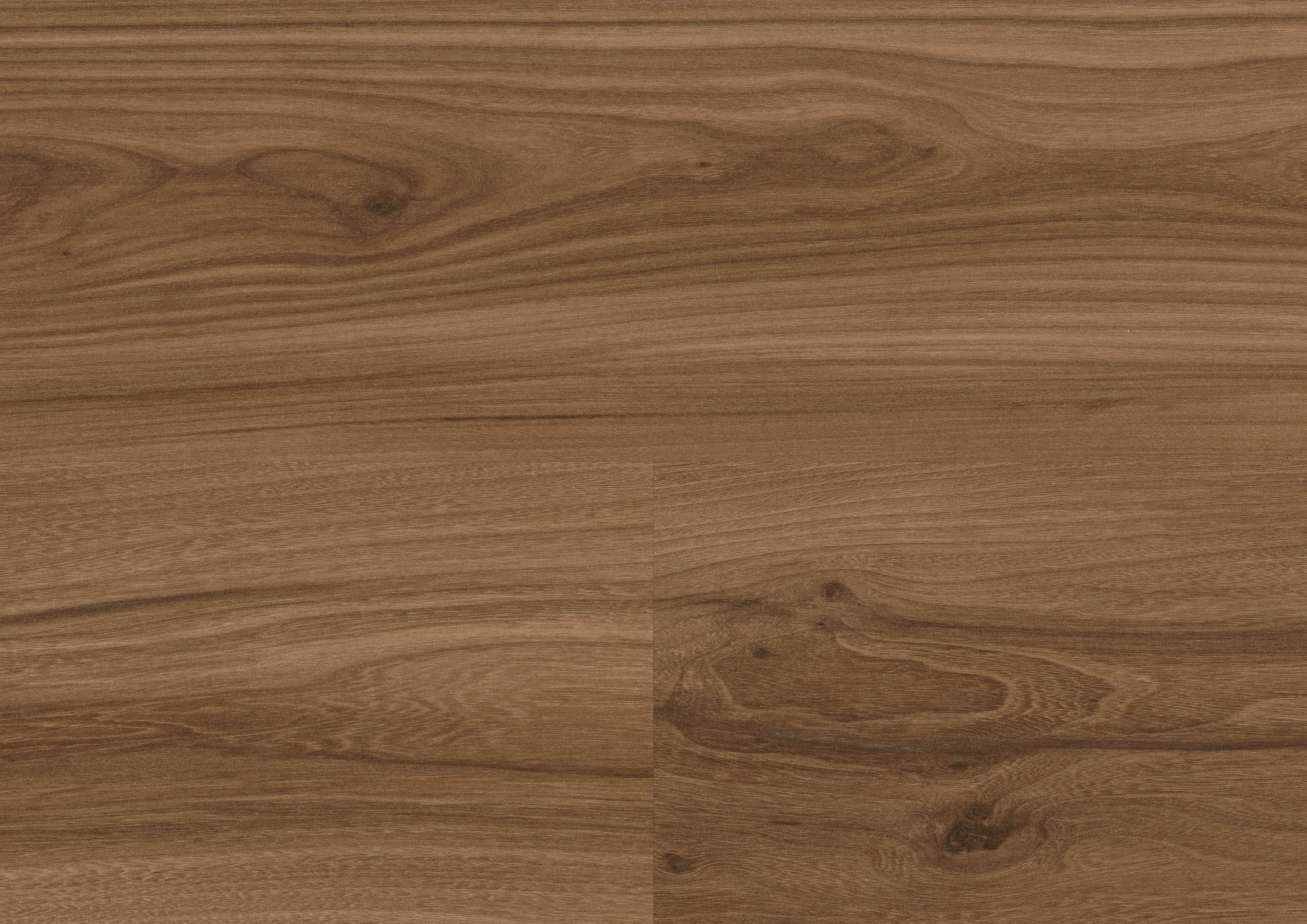 Noble Elm | PL wineo 1500 wood L